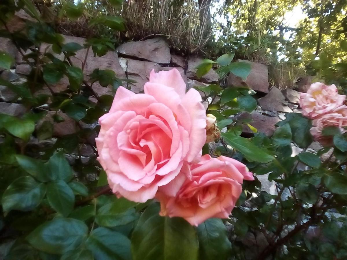 לינה וארוחת בוקר הלמסדייל Song Of The Sea, Selkie House מראה חיצוני תמונה